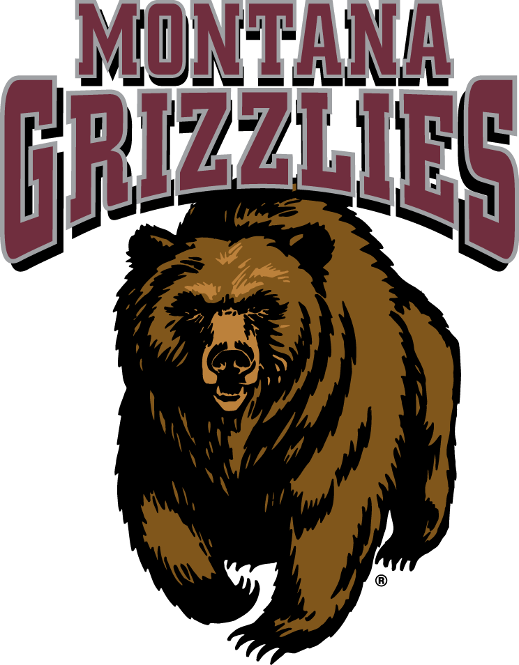Montana Grizzlies 1996-Pres Primary Logo DIY iron on transfer (heat transfer)